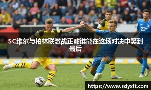 九游体育app
