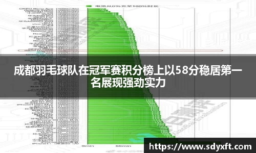 成都羽毛球队在冠军赛积分榜上以58分稳居第一名展现强劲实力